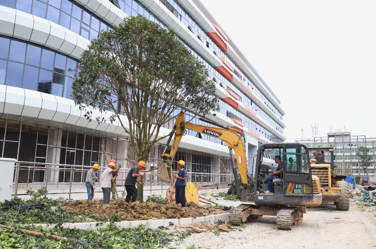 5.31插红旗 建阵地 扎根一线提效率5.jpg